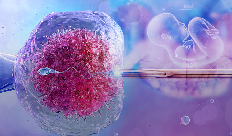 IVF முறையில் முதலாவது செயற்கை முறை கருத்தரிப்பு வெற்றி